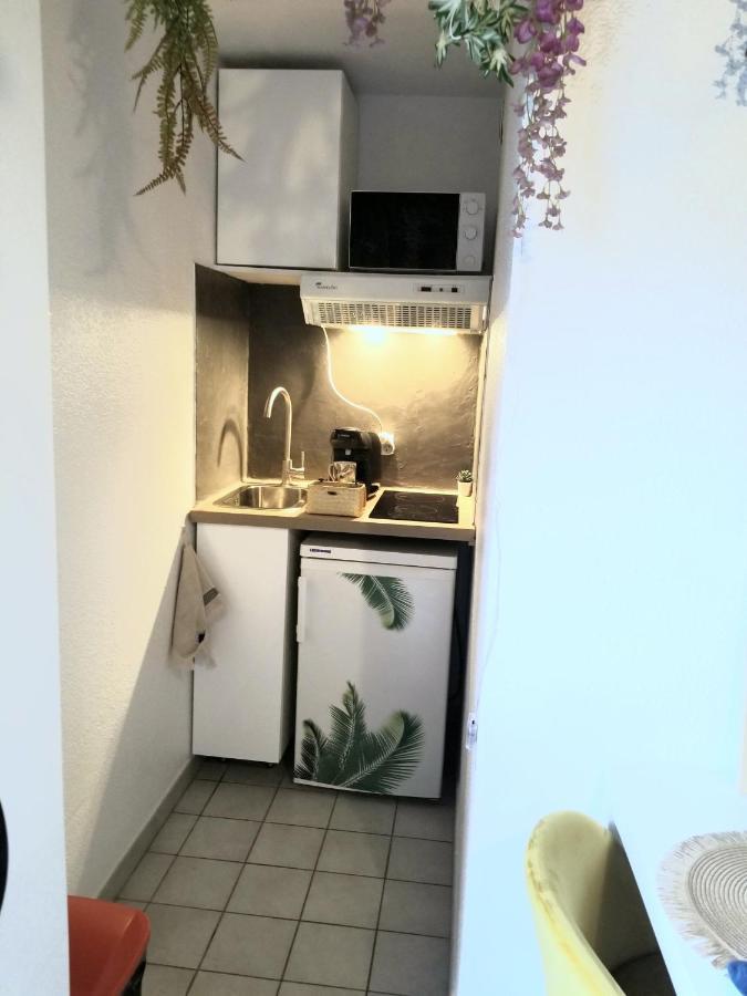 Jungle Proche De La Gare Apartment Grenoble